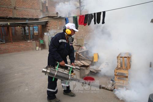 WHO ban bố tình trạng khẩn cấp toàn cầu về virus Zika